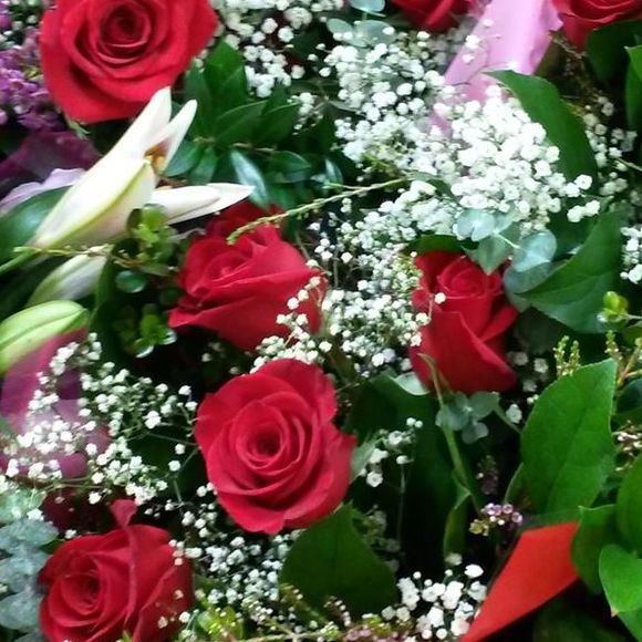 Meet your Posher, Laurie - Picture 1 of 1